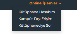 Kampüs Dışı Erişim.png